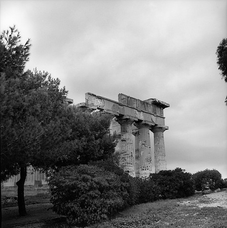Greek Temple - Selinunte
