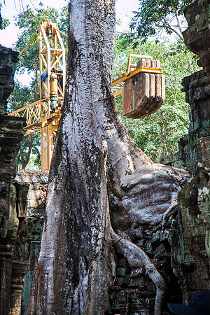 Jungle Warfare - Ta Prohm