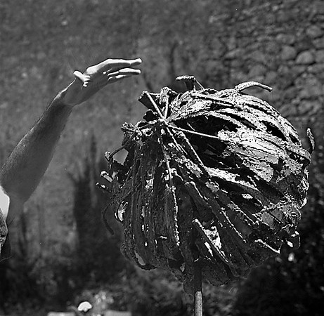 Hand on Sculpture - Concise