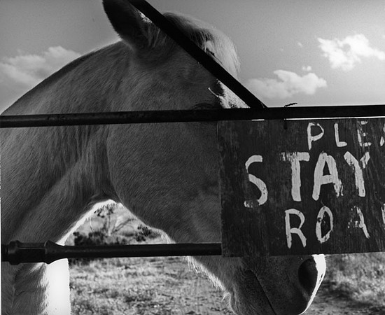 Stay on Road - West TX