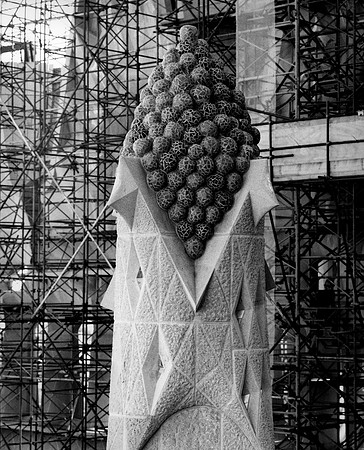 Tower of Grapes - Barcelona