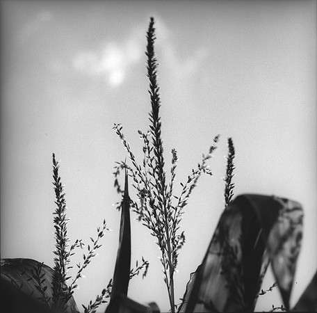 Icker - Iowa