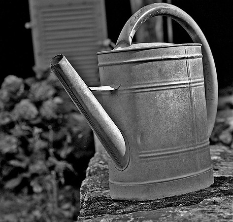 Watering Can - Concise